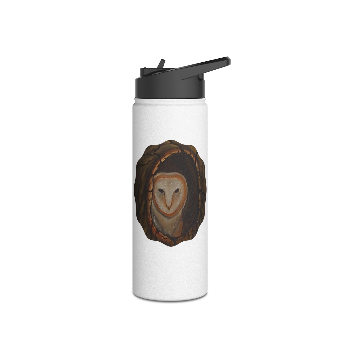 Stainless Steel Water Bottle, Standard Lid